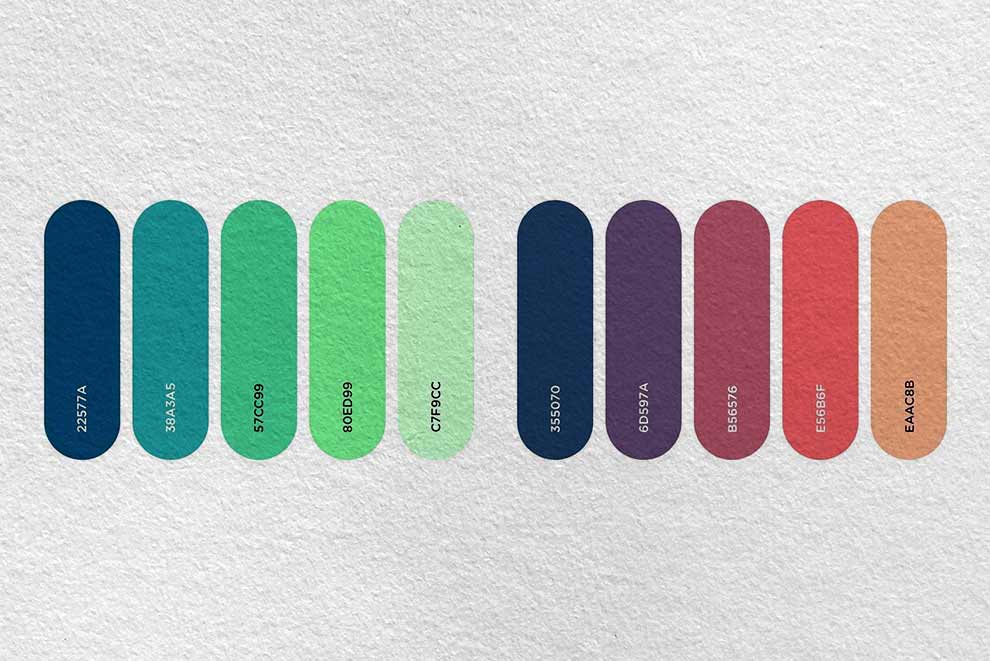 25 Beautiful Color Palette Collection