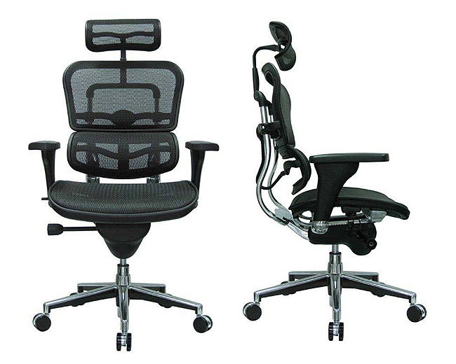 Ergohuman High Back Swivel Chair